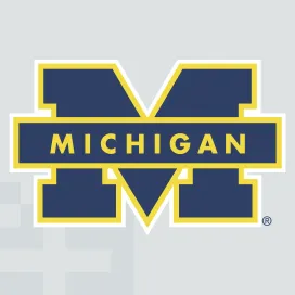 Michigan wolverines 3
